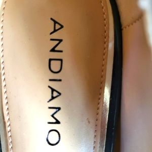 High heels brand is Andiamo size 10 m never used but don't have box.